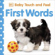 First Words (Baby Touch and Feel) by ''Dk Au''
